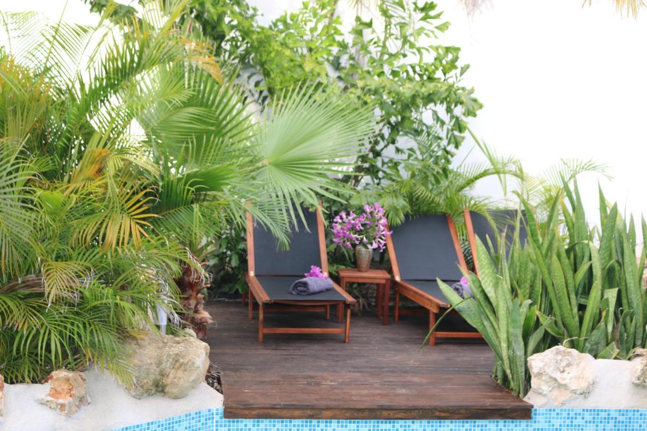 New House Tropic Paradise With Pool 빌렘스타트 외부 사진