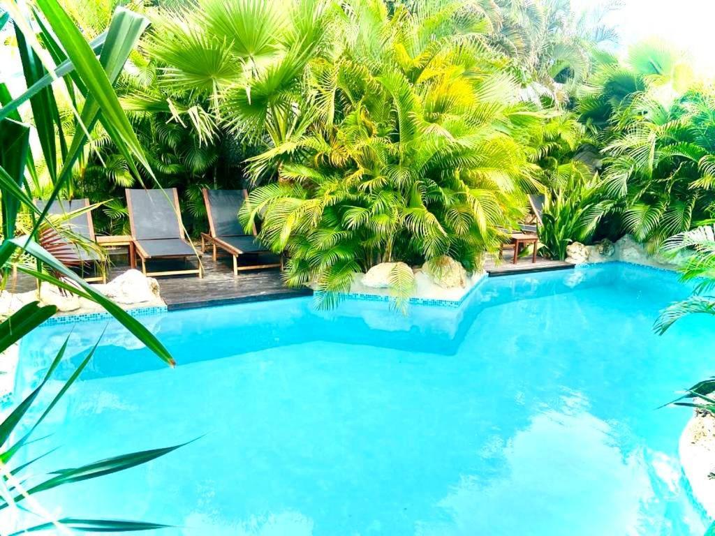 New House Tropic Paradise With Pool 빌렘스타트 외부 사진