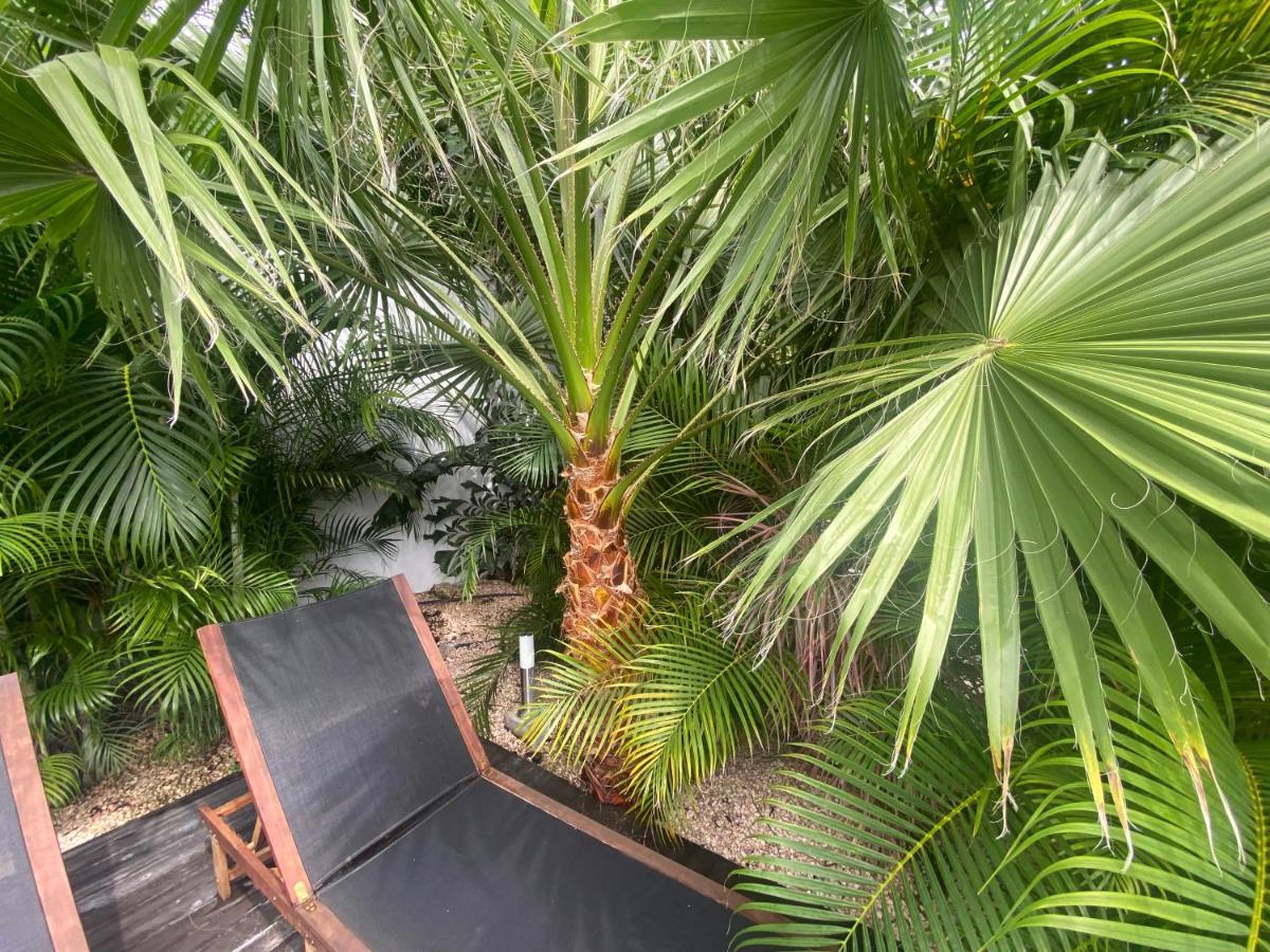 New House Tropic Paradise With Pool 빌렘스타트 외부 사진